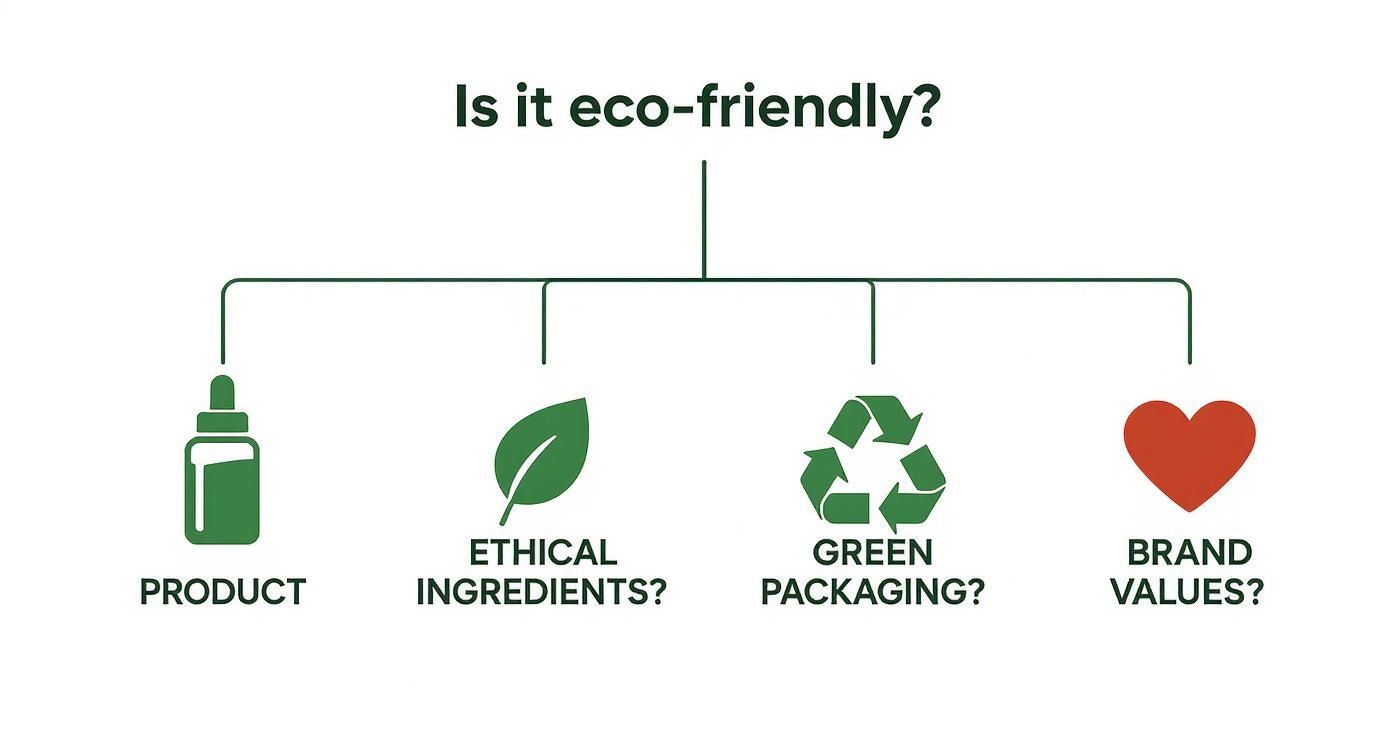 Infographic about makeup eco friendly