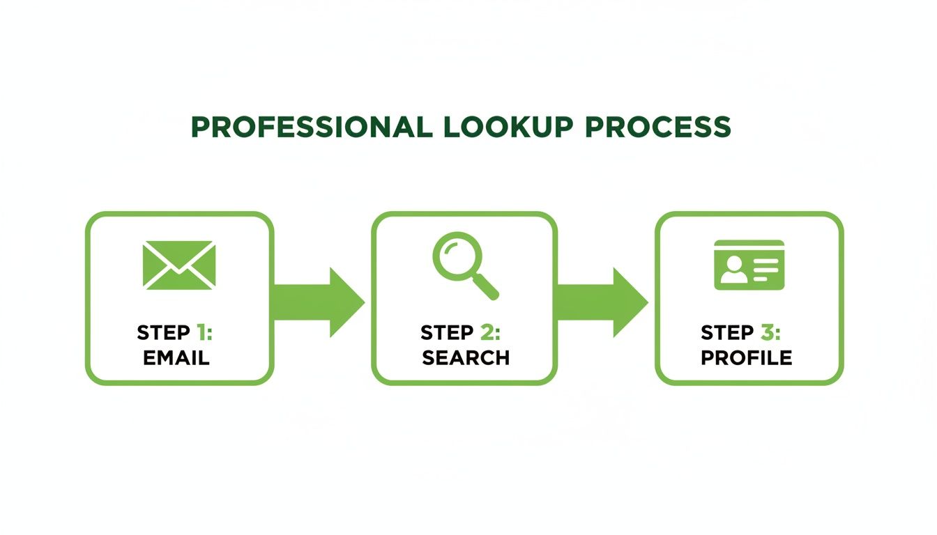 A three-step professional lookup process flowchart, showing email, search, and profile with green icons.