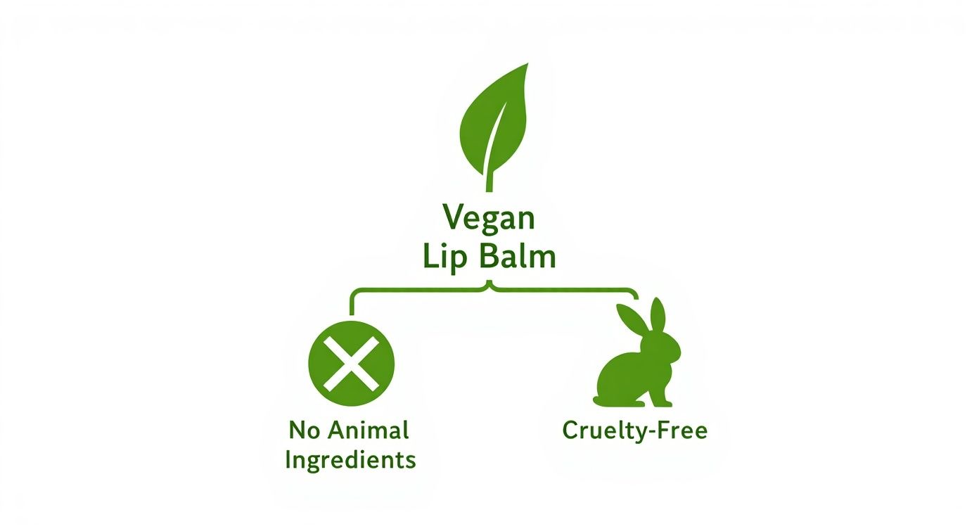 Vegan lip balm infographic showing leaf icon, no animal ingredients symbol, and cruelty-free bunny