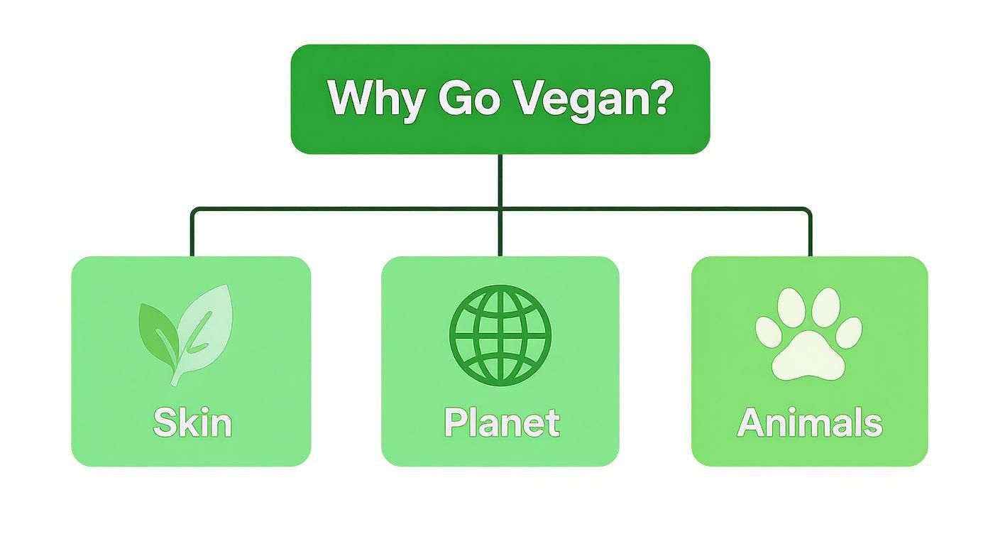 Infographic about vegan foundation brands