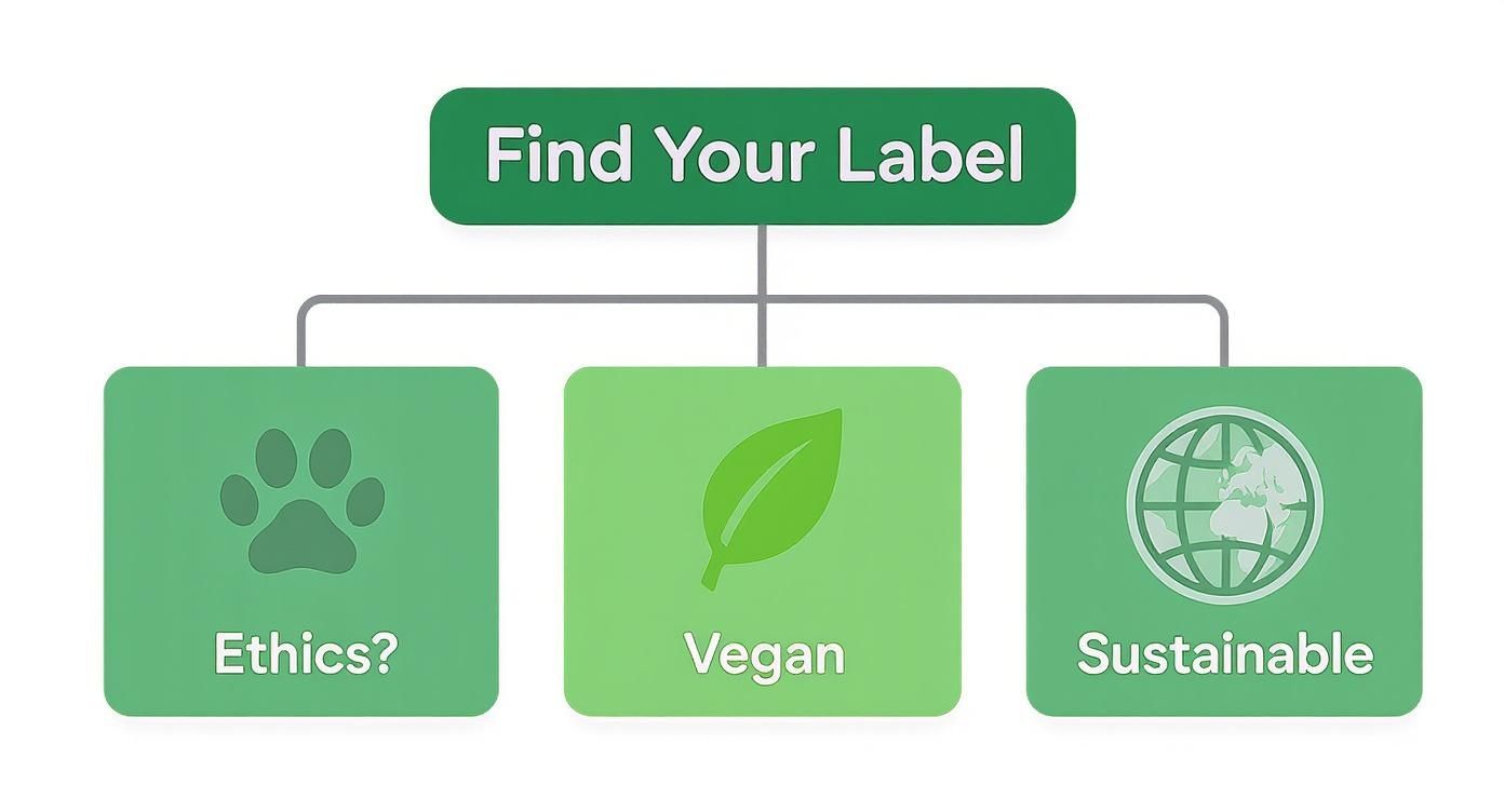 Infographic about sustainable beauty brands