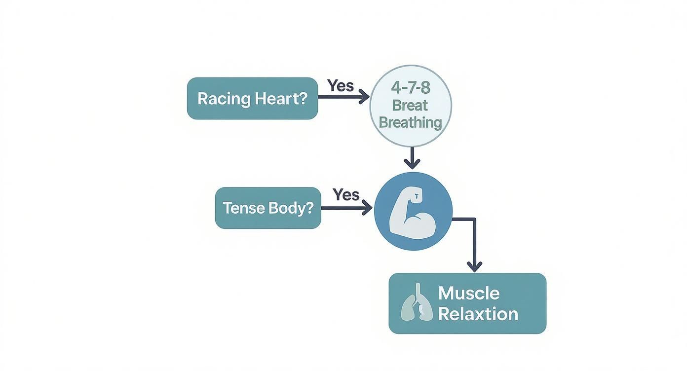 Flowchart depicting anxiety symptom management, suggesting 4-7-8 breathing for a racing heart and muscle relaxation for a tense body.