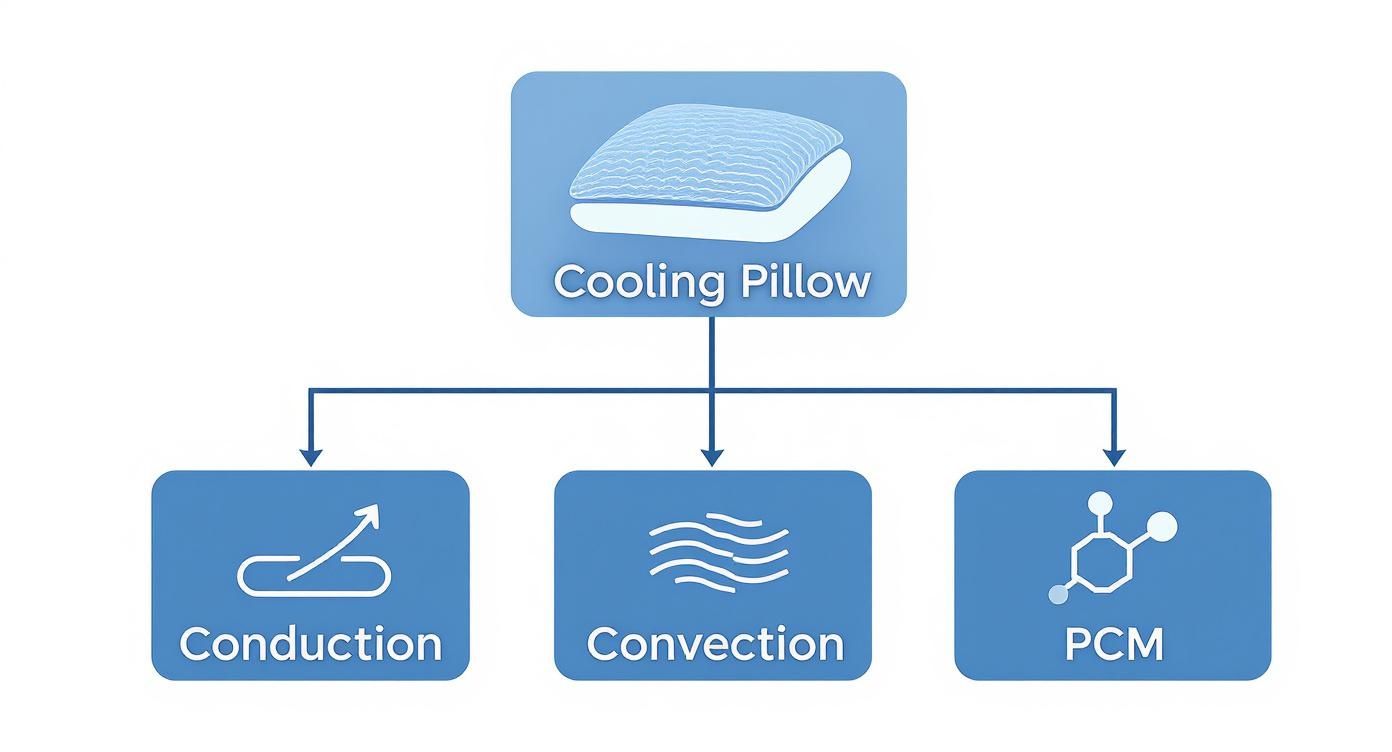 A diagram shows a cooling pillow with three mechanisms: conduction, convection, and PCM.