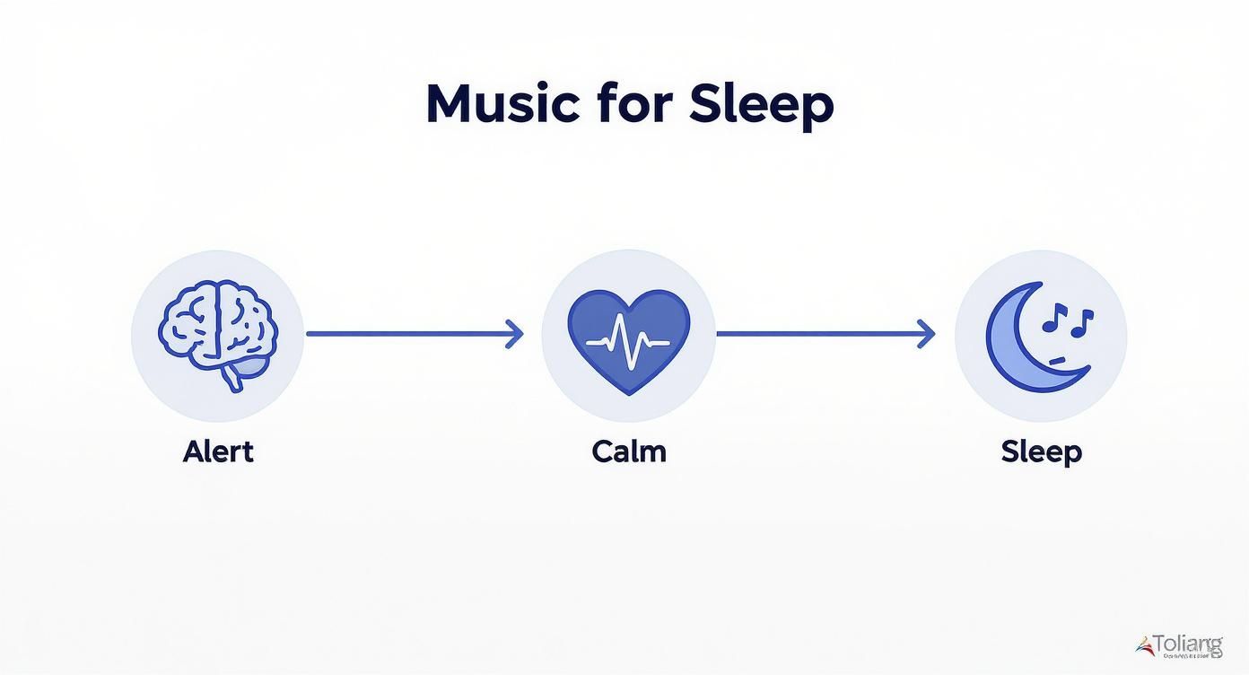 Infographic about music to help fall asleep