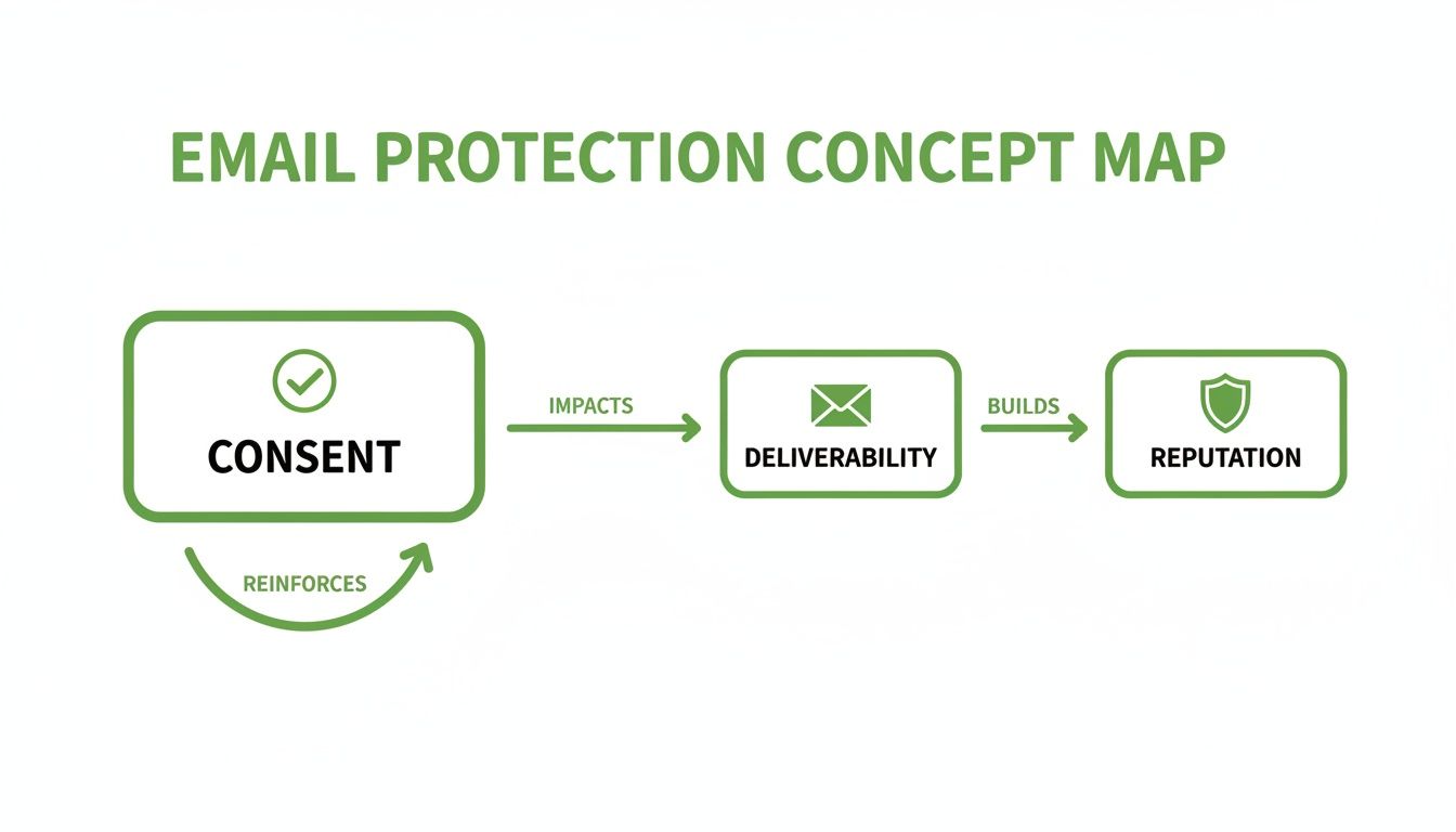 Concept map illustrating email protection, showing how consent impacts deliverability, which builds reputation, and reputation reinforces consent.