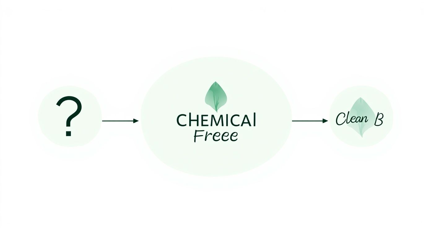 Diagram illustrating a transition from an unknown state to 'CHEMICAL Freee' and then 'Clean B' with leaf icons.