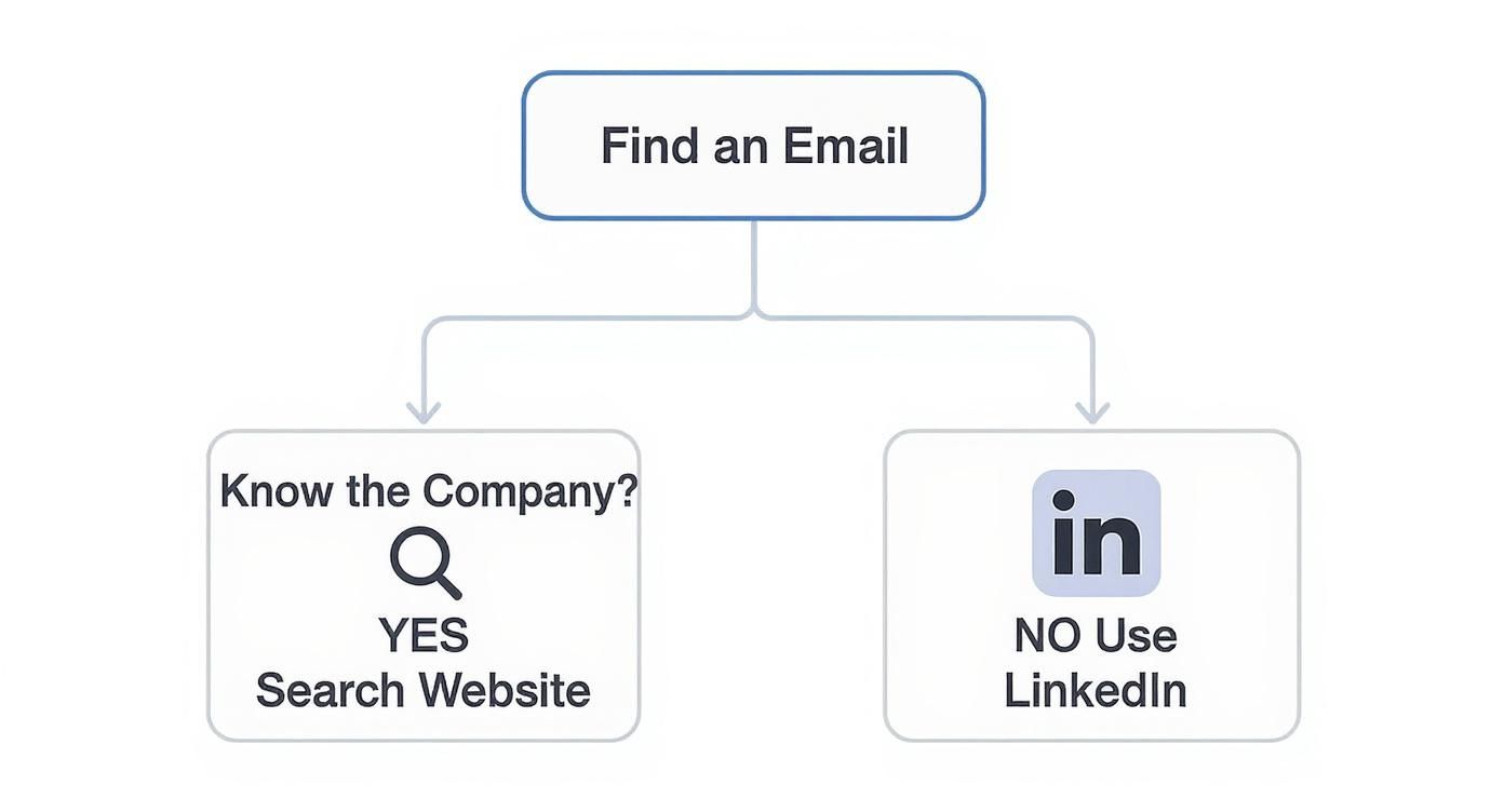 Infographic about how to find a person email