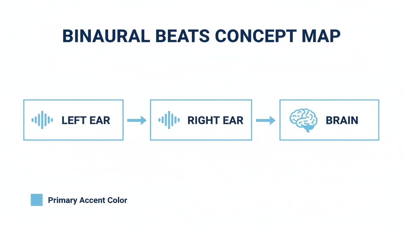 A concept map illustrating the binaural beats process, with sound from left and right ears combining in the brain.