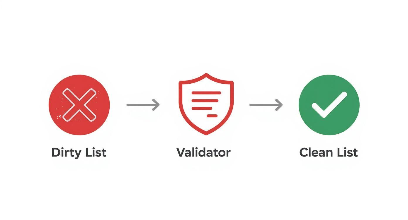 Infographic about email validity checker