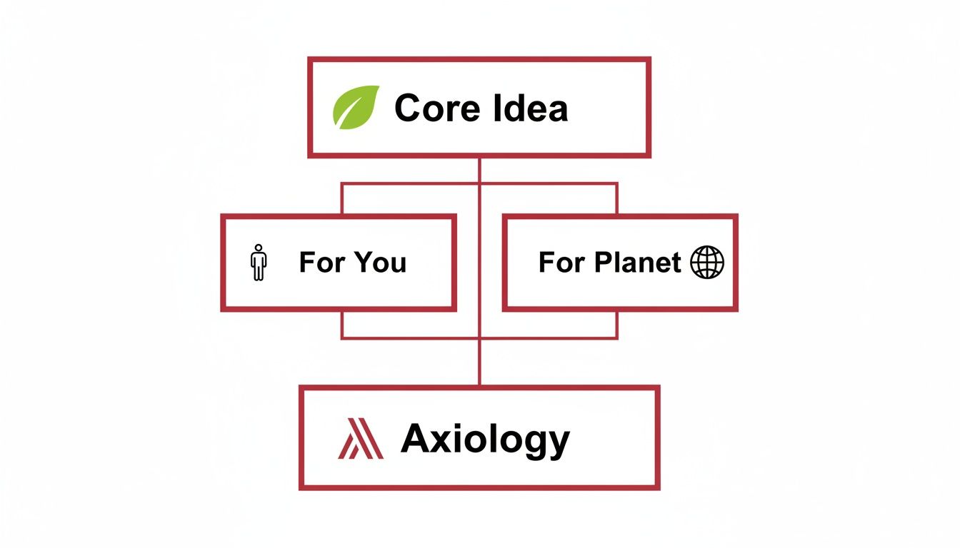 Flowchart diagram illustrating a core idea, branching into benefits 'For You' and 'For Planet', culminating in 'Axiology'.