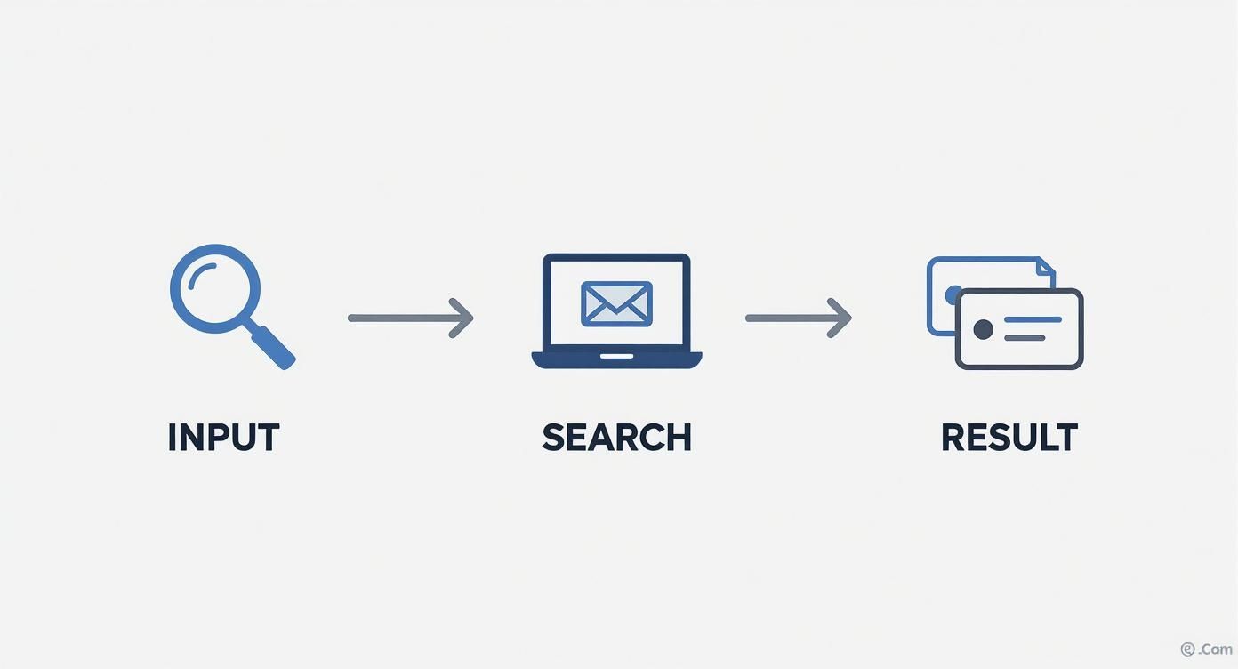 Infographic about how to look up email