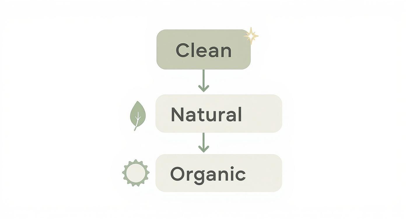 Infographic about natural ingredients for makeup