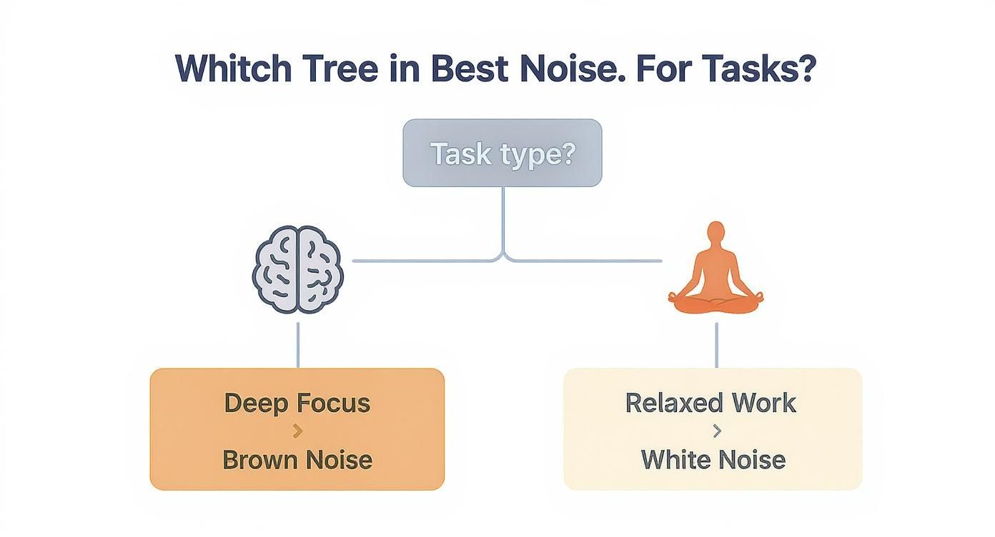Infographic about white noise vs brown noise