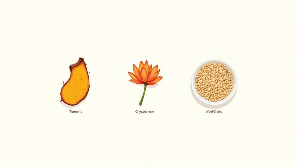 A variety of natural ingredients like flowers and herbs laid out for skincare formulation