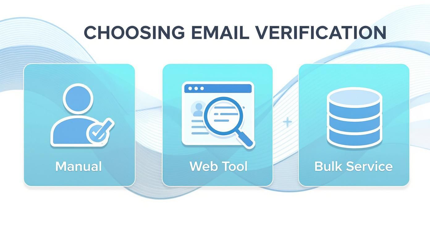 Three options for email verification: manual, web tool, and bulk service with icons.