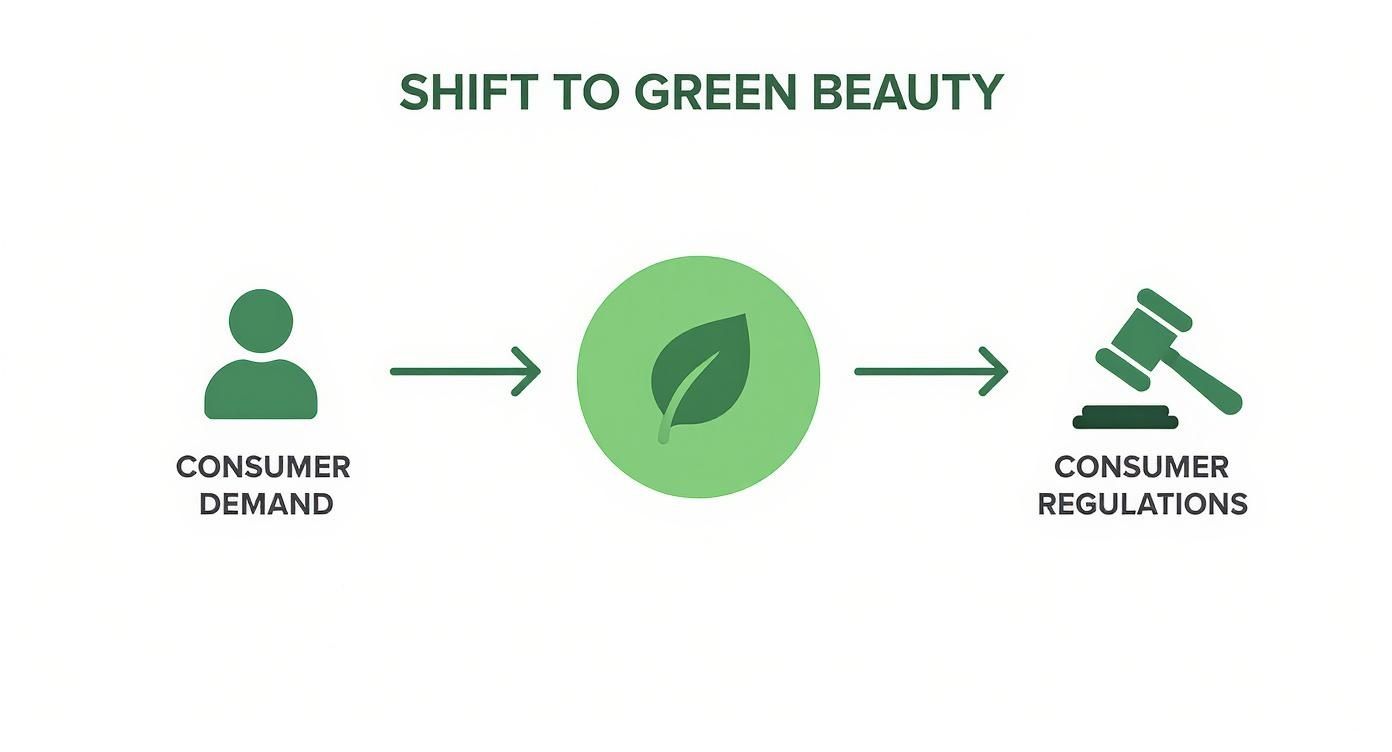 Infographic about biodegradable packaging for cosmetics