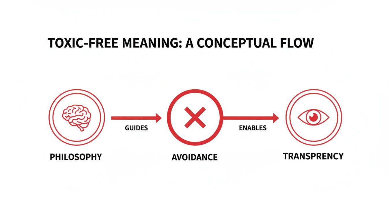A conceptual flow diagram showing Philosophy guiding Avoidance, which enables Transparency for toxic-free meaning.