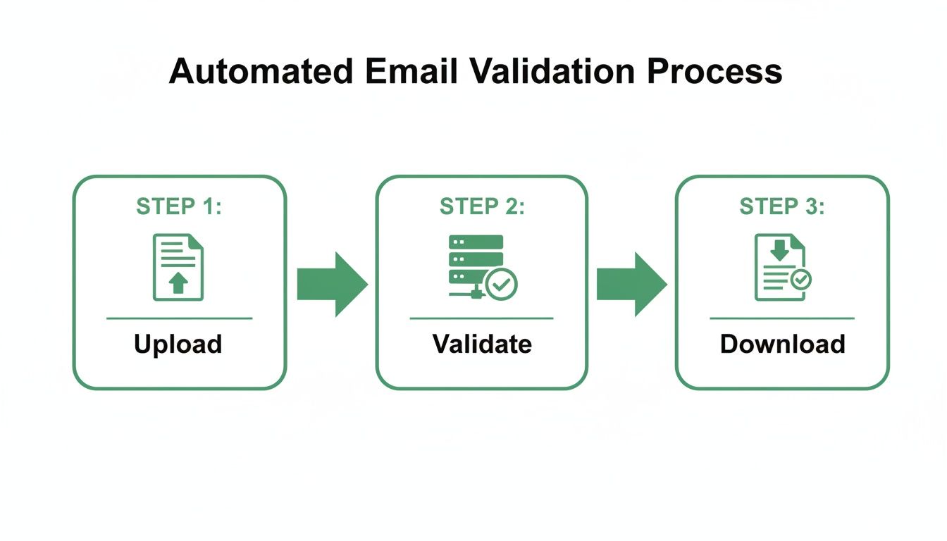 Flowchart illustrating an automated email validation process with steps for uploading, validating, and downloading.