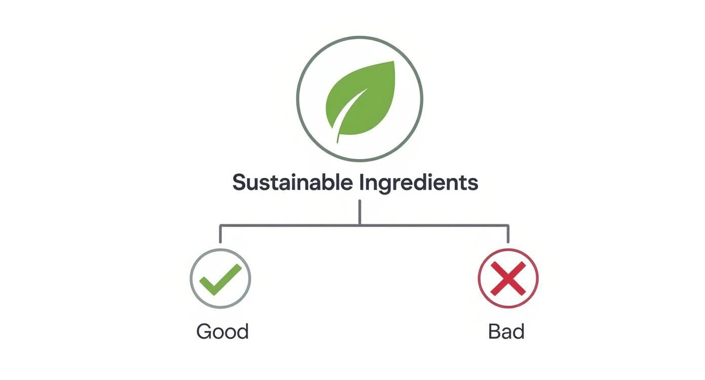 Diagram showing sustainable ingredients classification with green leaf icon, checkmark for good and X mark for bad