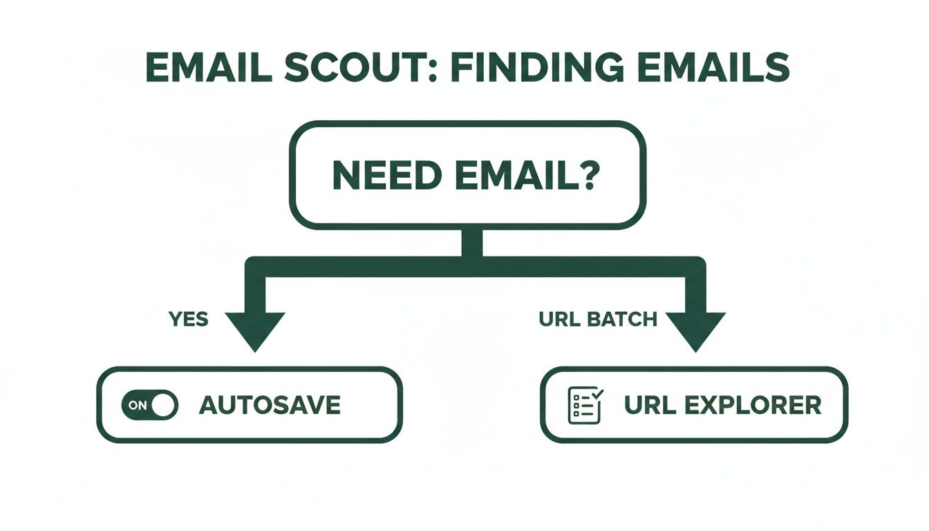 Flowchart showing two methods for finding emails: autosave for individual emails and URL Explorer for batch URLs.