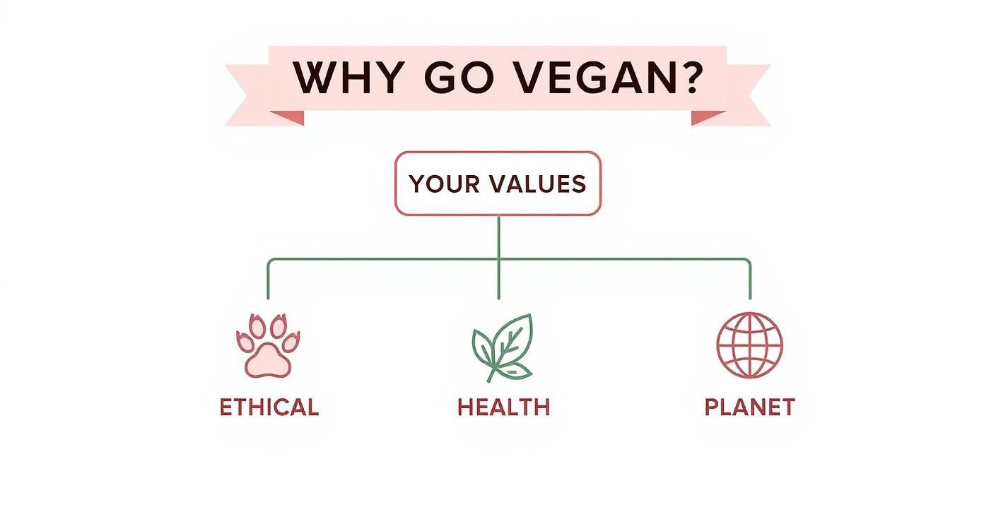 Infographic about vegan lipstick brands