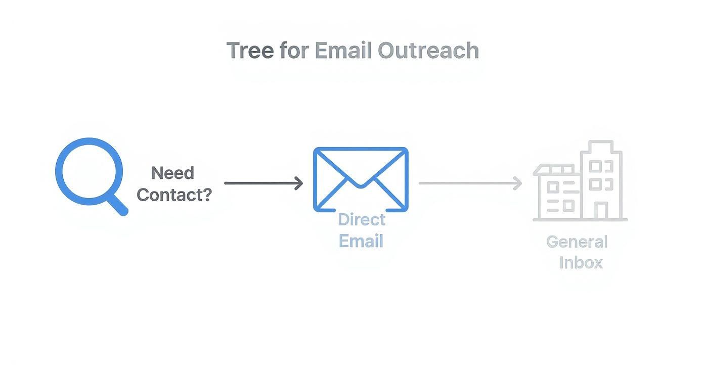 Infographic about how to find a company email address