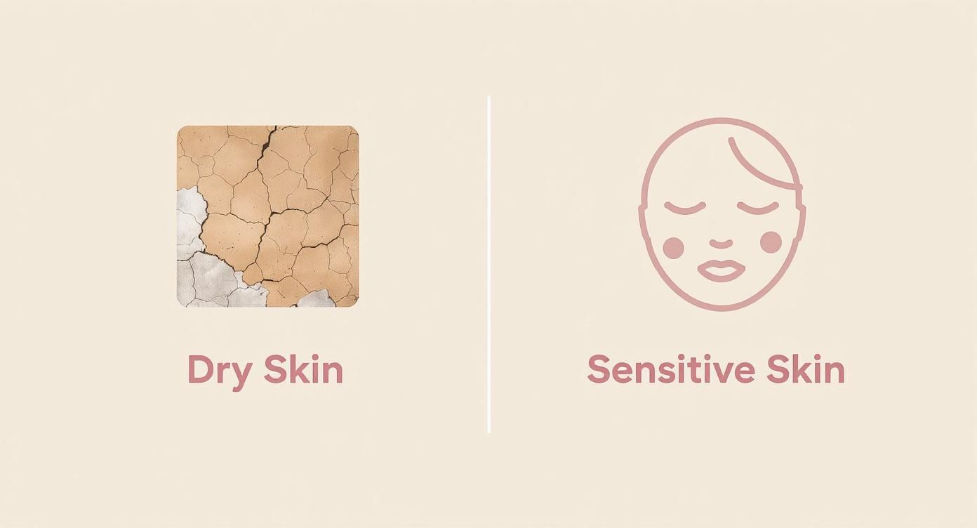 Comparison chart showing dry skin with cracked texture versus sensitive skin with calm face illustration