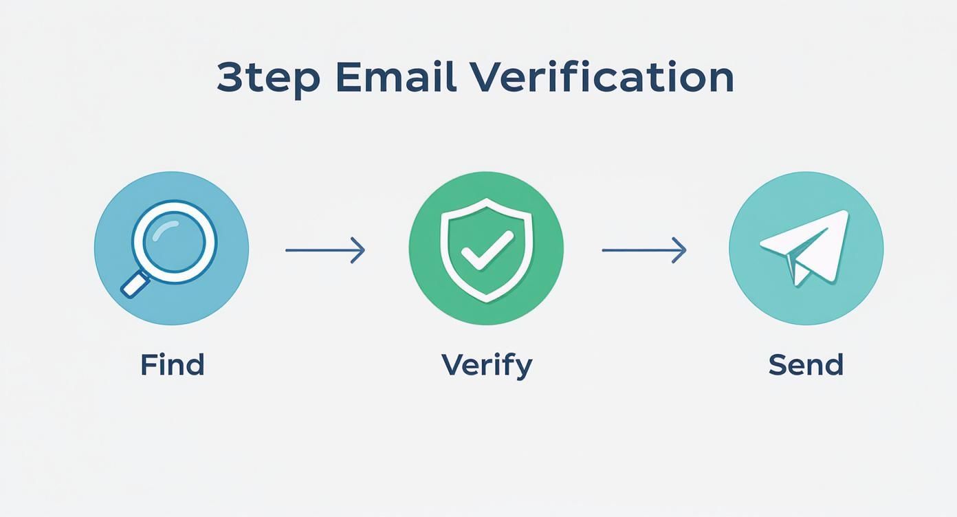 Infographic about email address lookup