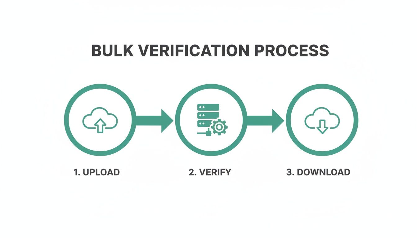 A three-step infographic outlining a bulk verification process: upload, verify, and download data.