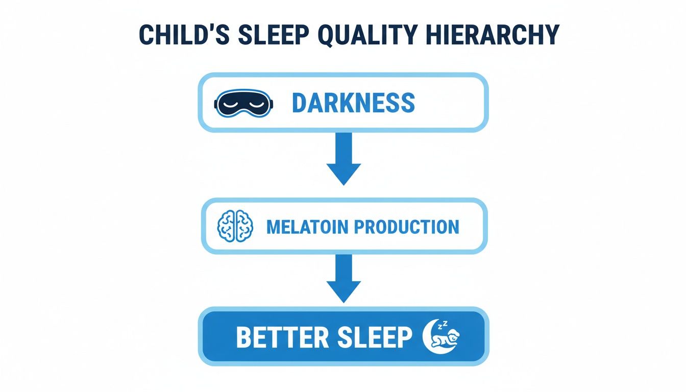 A hierarchy diagram showing darkness leading to melatonin production, resulting in better sleep for children.