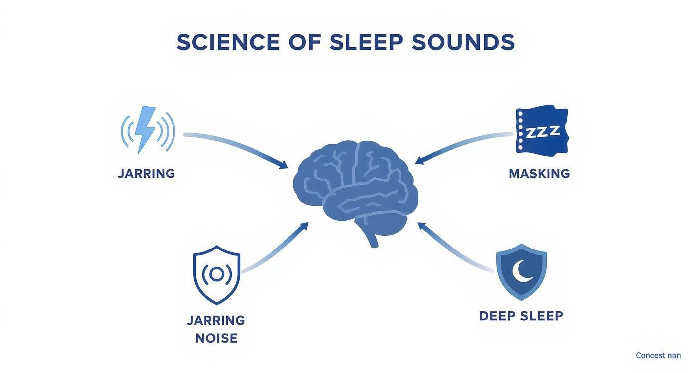 Infographic about best sound to fall asleep to