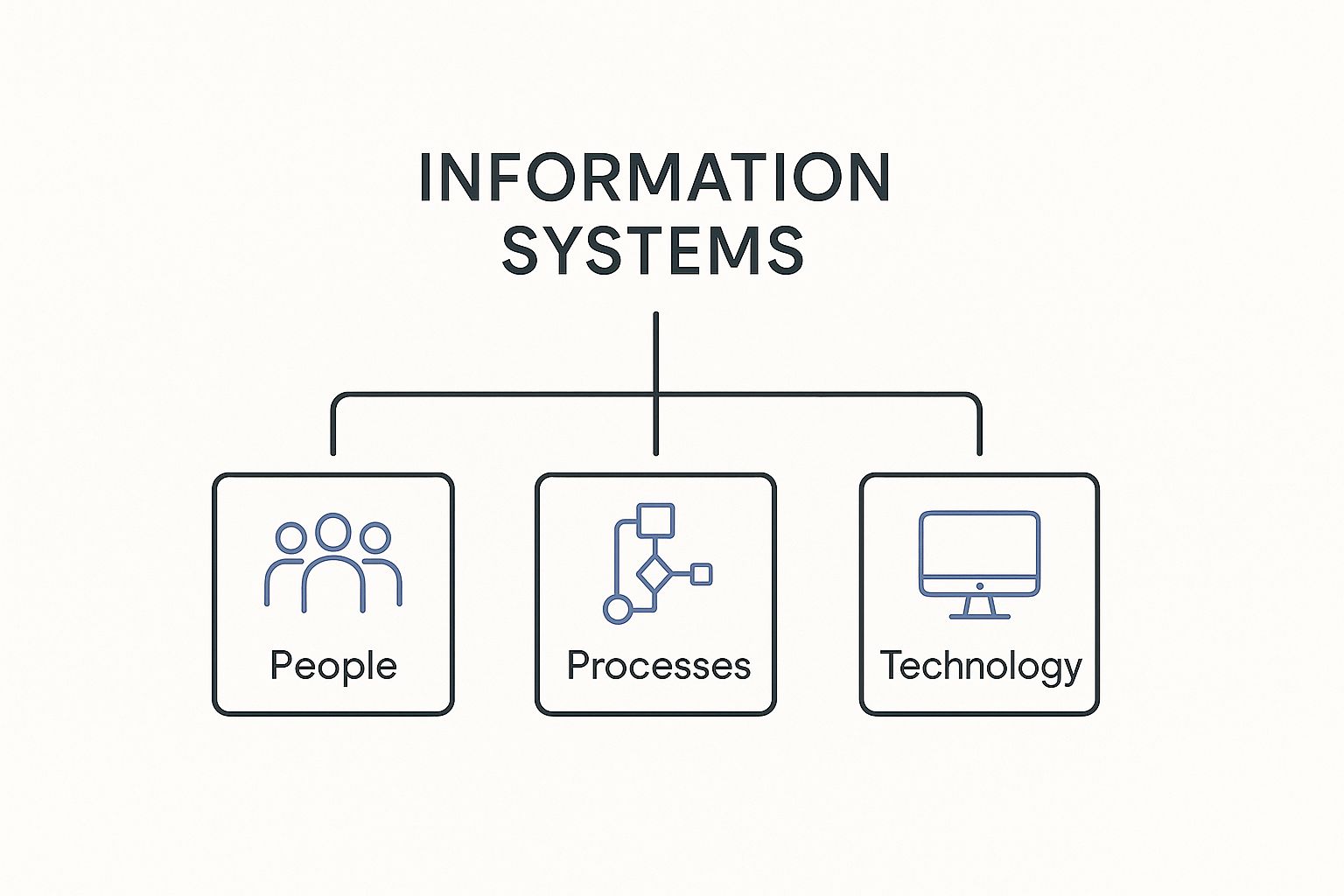 Infographic about information systems for business