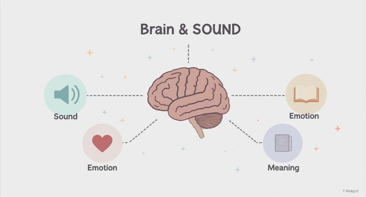 Infographic demonstrating the brain's processing of sound, linking it to emotion and meaning.