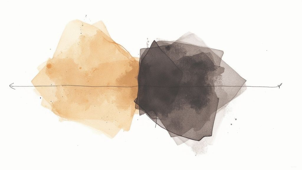 Abstract Conceptual Names