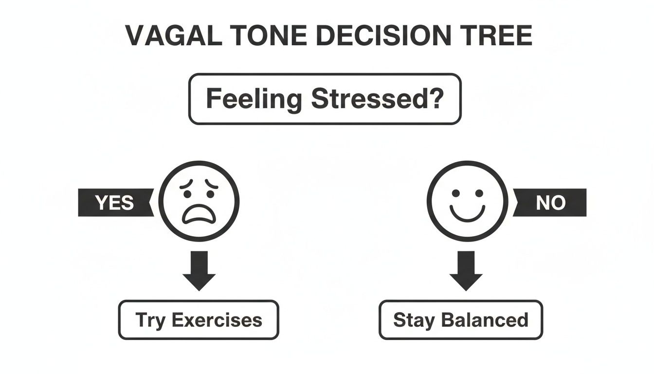 A Vagal Tone Decision Tree, guiding users on actions based on feeling stressed or not.