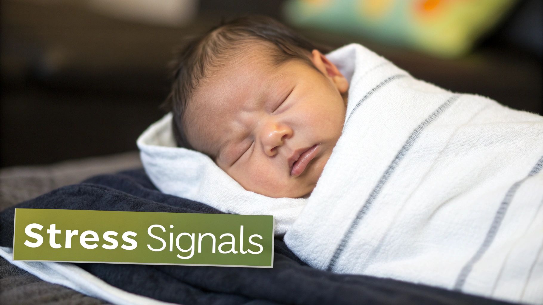 A peacefully sleeping newborn baby wrapped in a white blanket, illustrating potential stress signals.