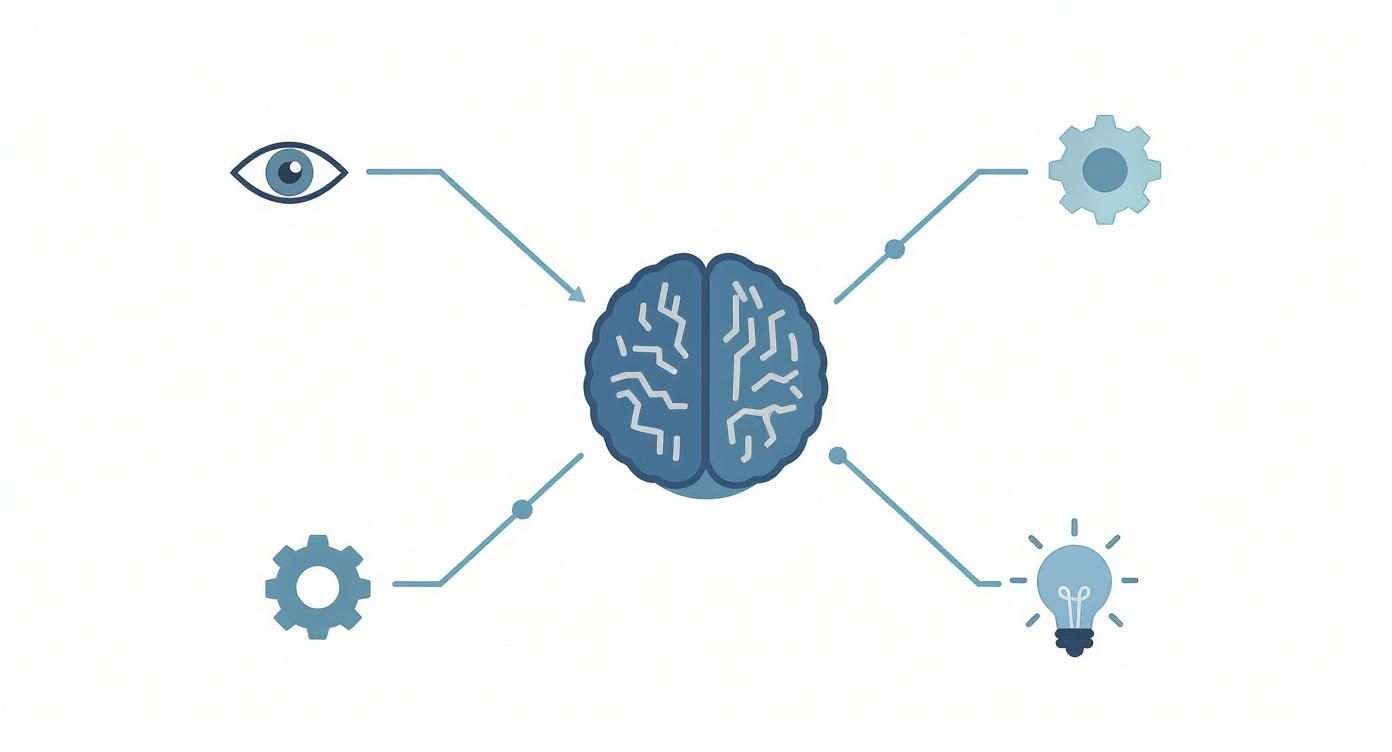 Infographic about sensory processing signs