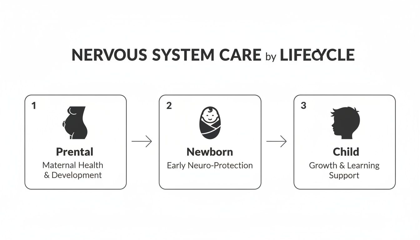 Diagram illustrating nervous system care across the prenatal, newborn, and child stages with descriptive text.