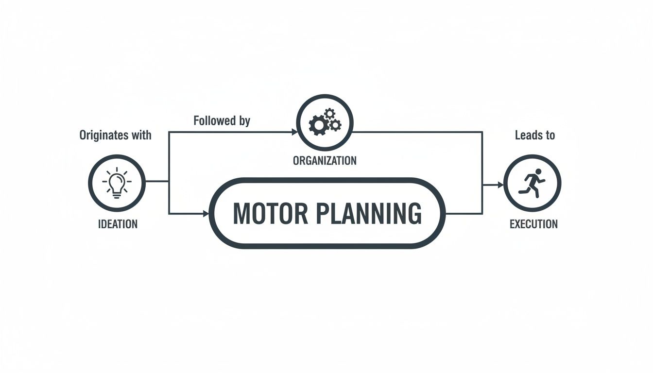 A diagram illustrating the motor planning process, from ideation and organization through to execution.