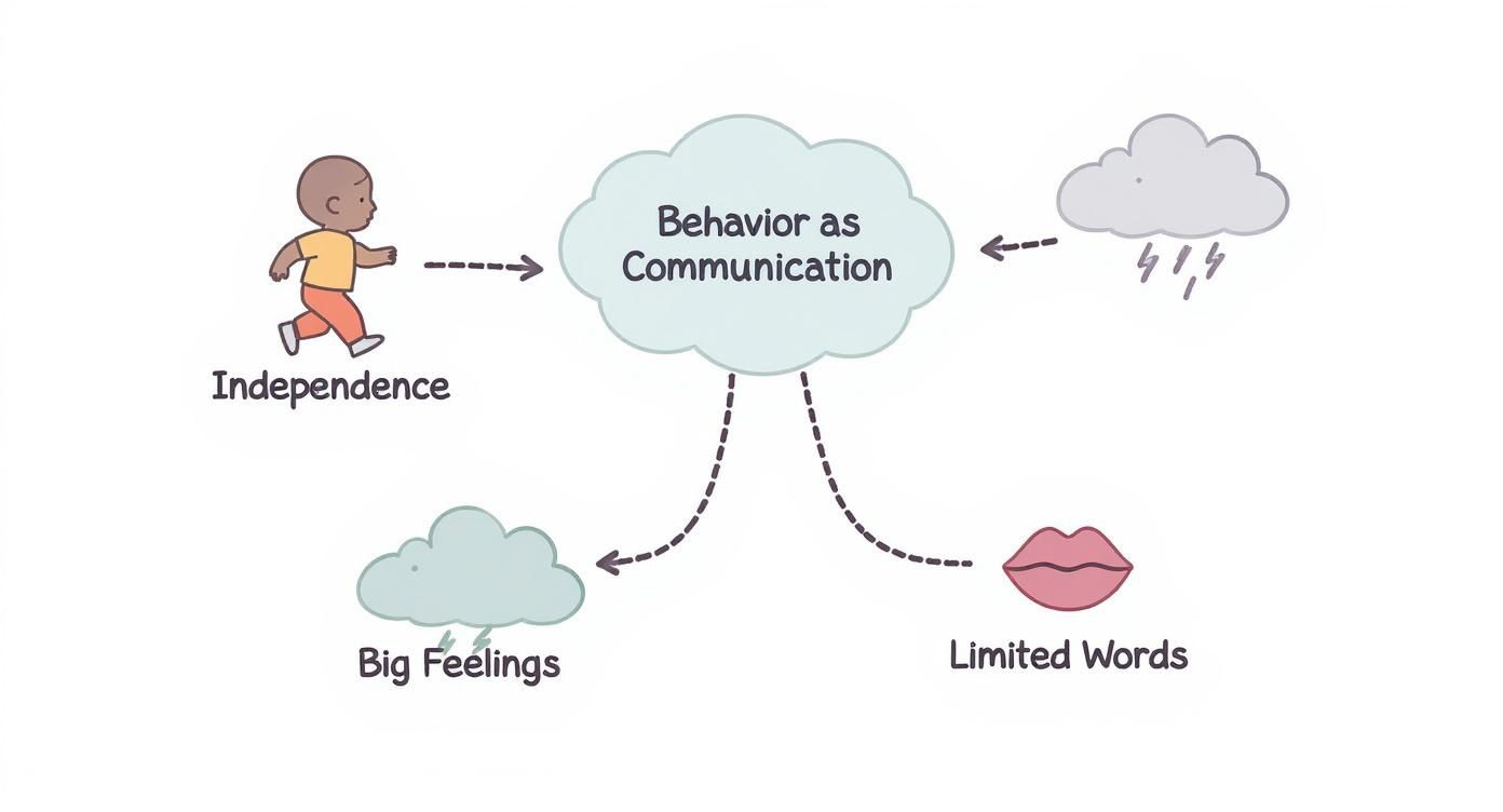 Infographic about toddler behavior issues
