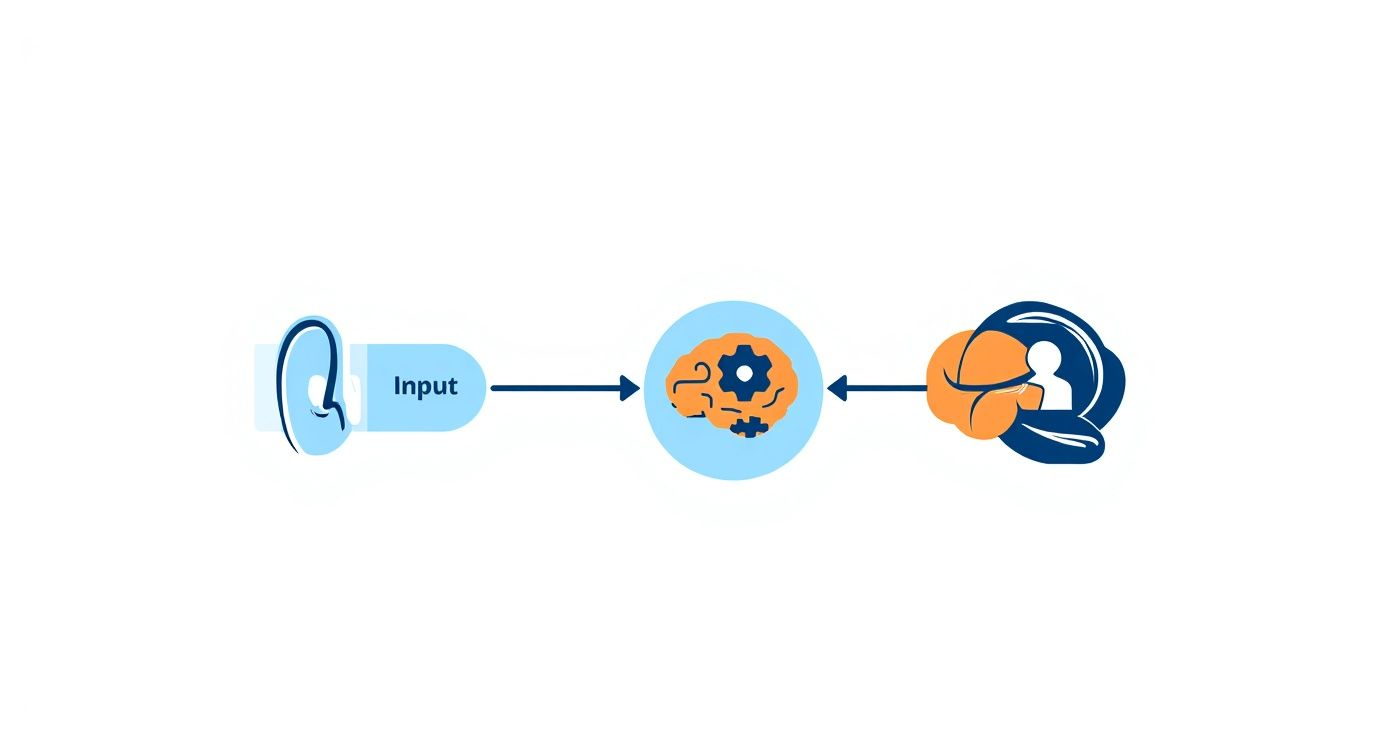 Diagram illustrating sensory input processing from an ear to the brain and human understanding with feedback.