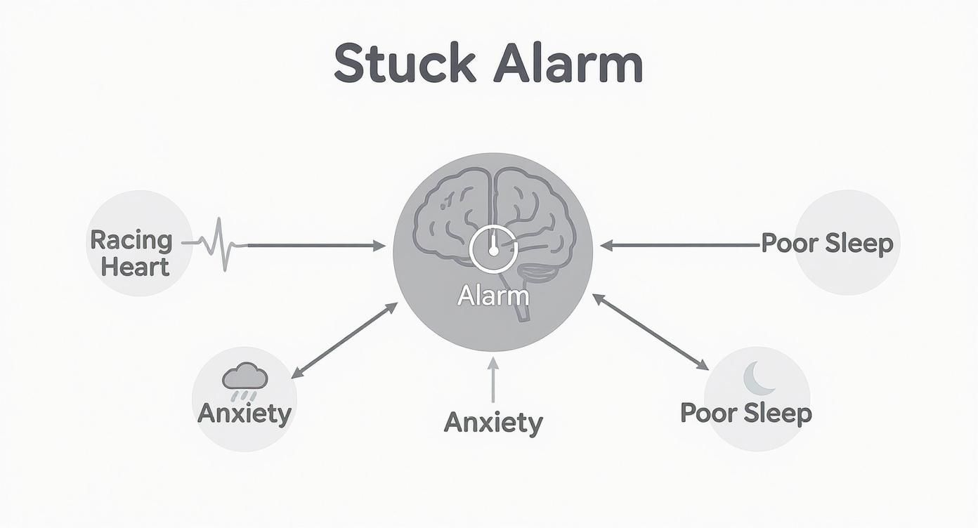 Infographic about symptoms of overactive sympathetic nervous system