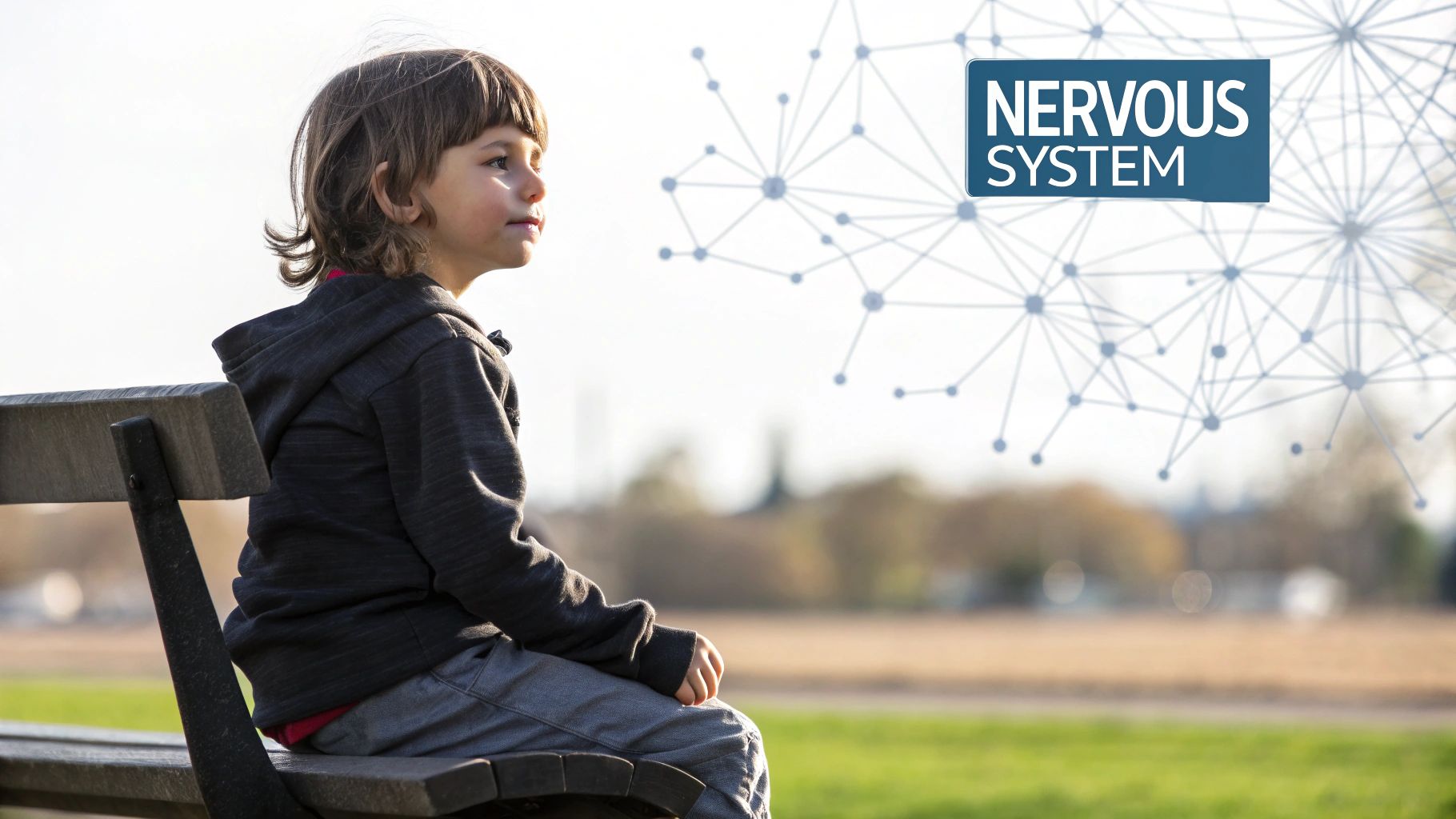 Young child sitting on a park bench, looking thoughtfully, with a nervous system graphic.