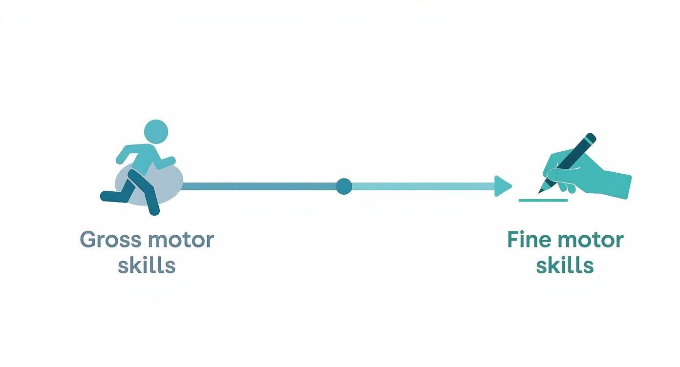 Infographic about motor development skills