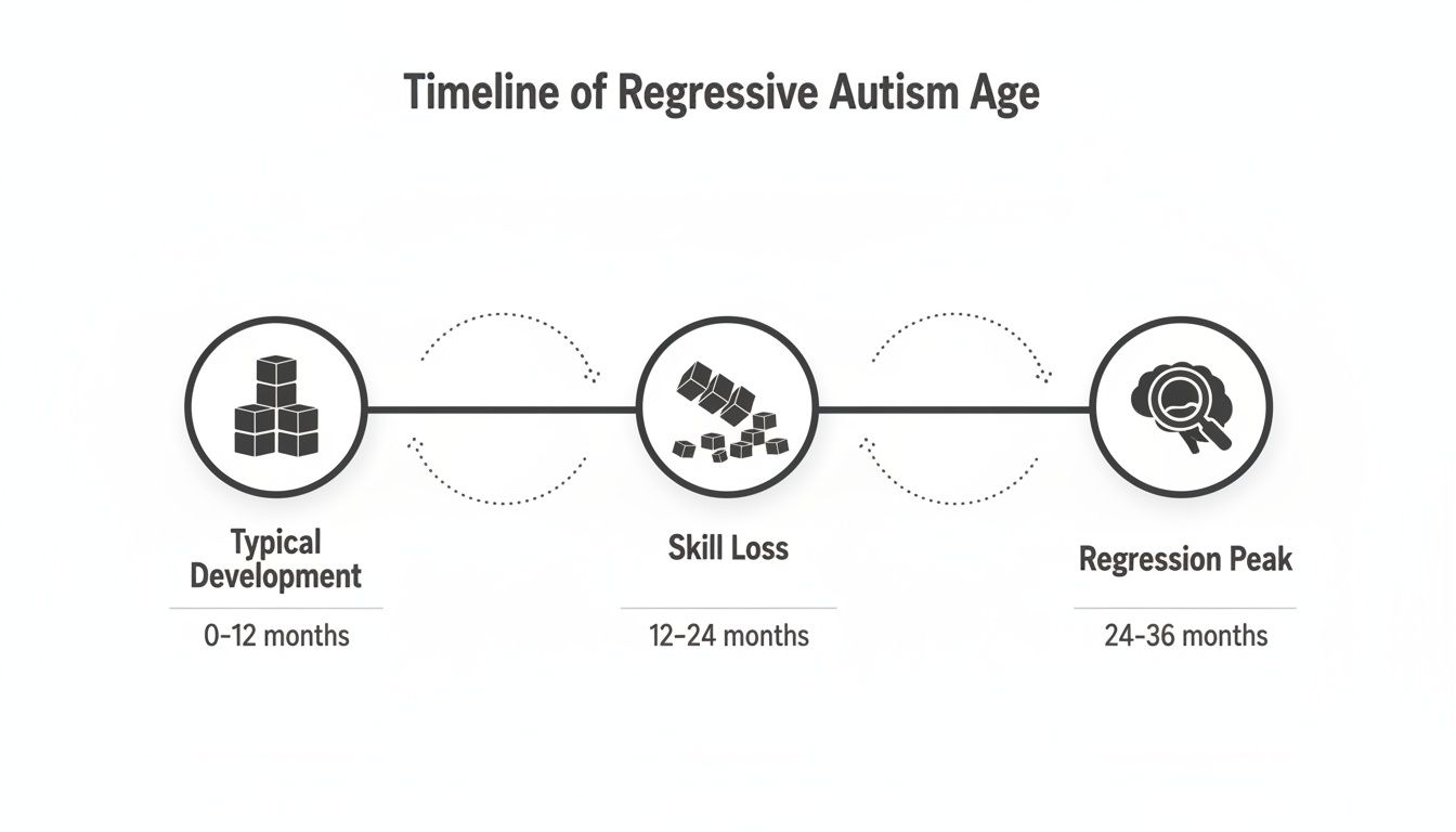Timeline graphic illustrating regressive autism stages: typical development (0-12 months), skill loss (12-24 months), and regression peak (24-36 months).