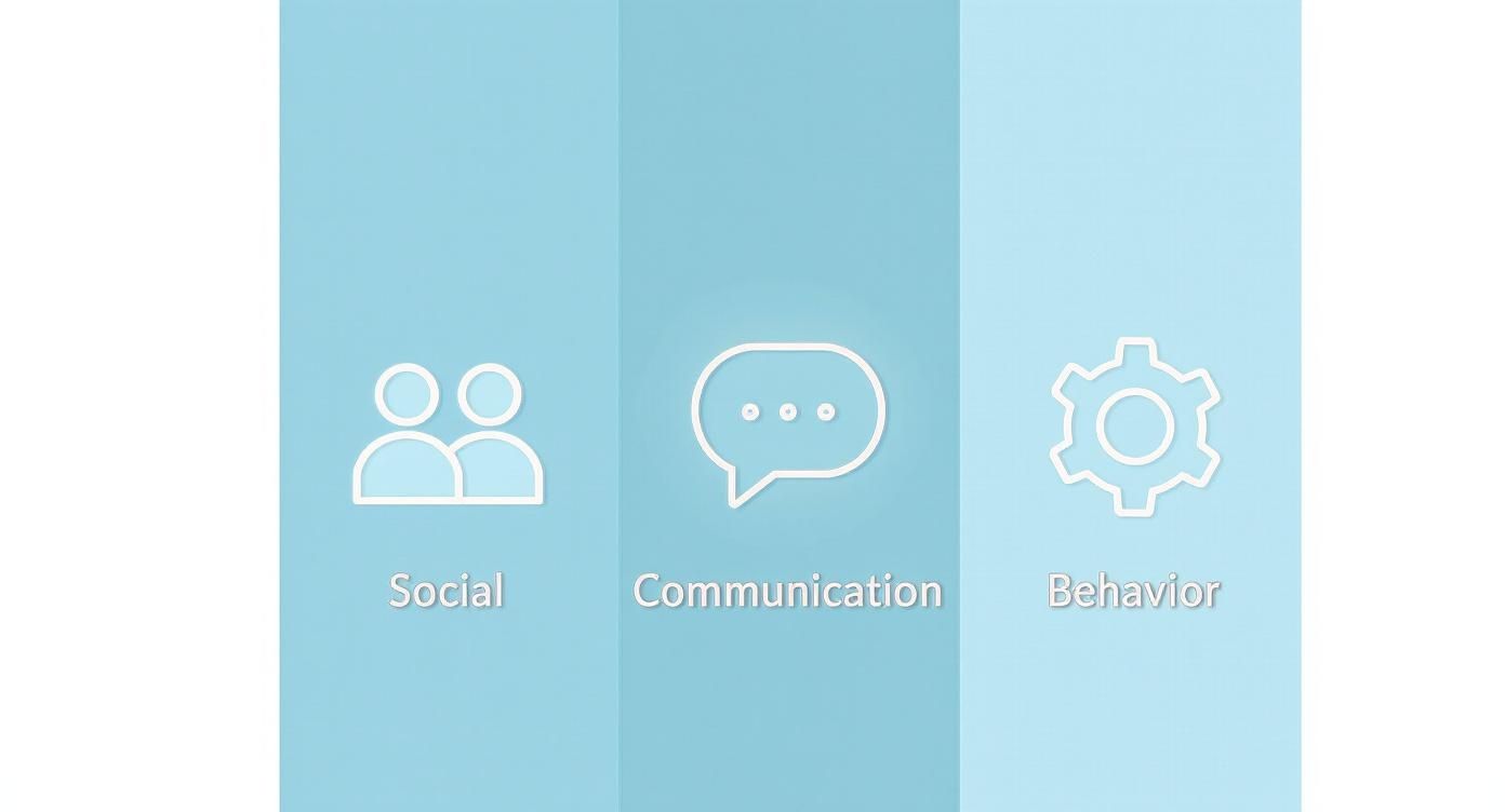 Icons for social, communication, and behavior, representing key developmental areas for autism assessment.