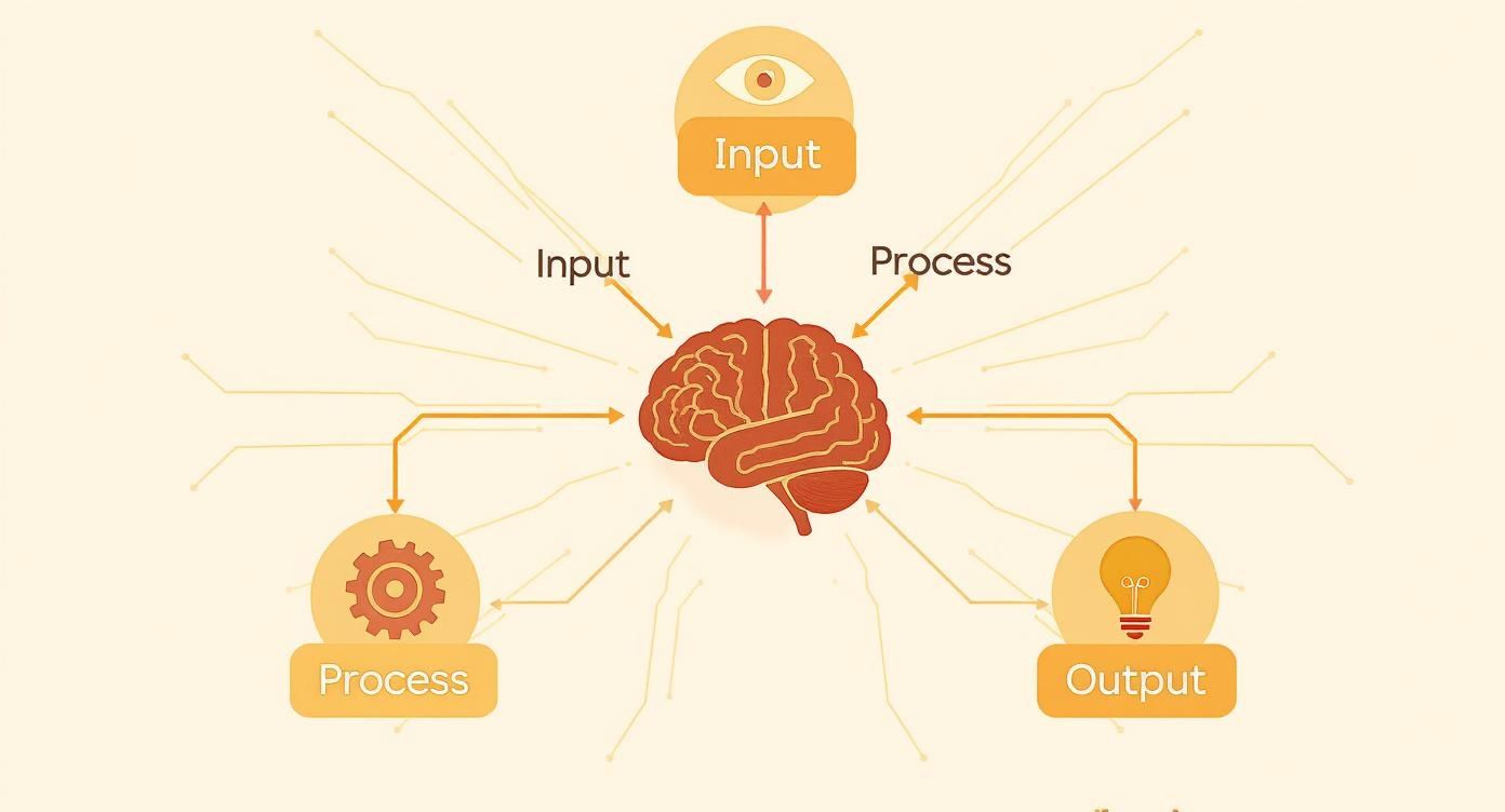 A diagram illustrates a brain receiving input from an eye, processing information, and generating an output.