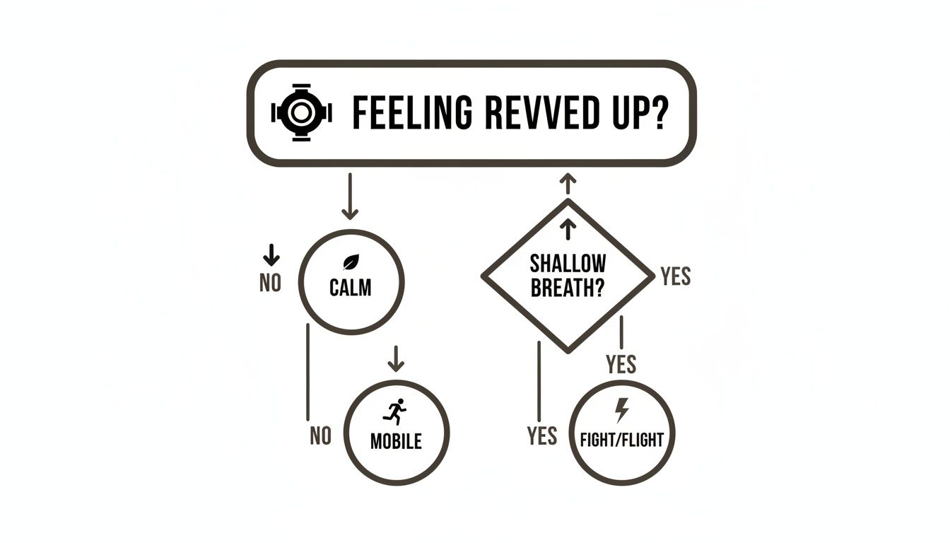 A flowchart diagramming responses to feeling revved up, leading to calm, mobile, or fight/flight states.