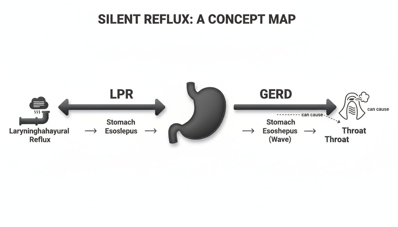 A concept map illustrating silent reflux, showing LPR and GERD pathways involving the stomach, esophagus, and throat.