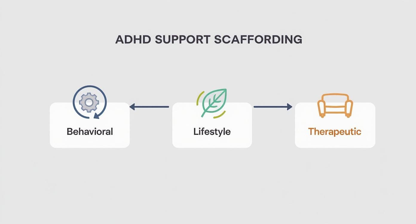 Infographic about how to help adhd without medication
